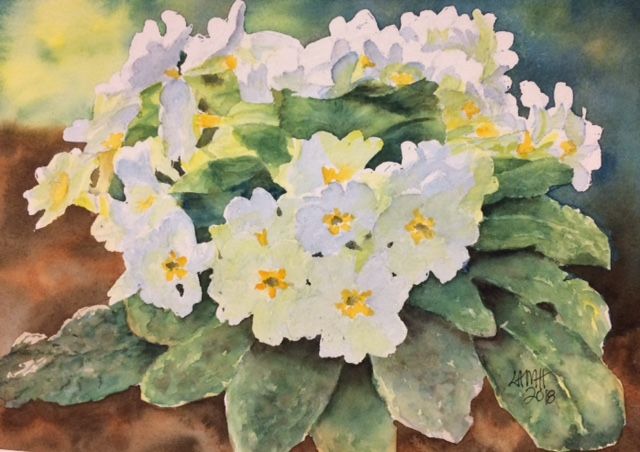 white primroses.jpg