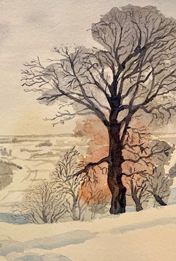 Meadow road tree.jpg