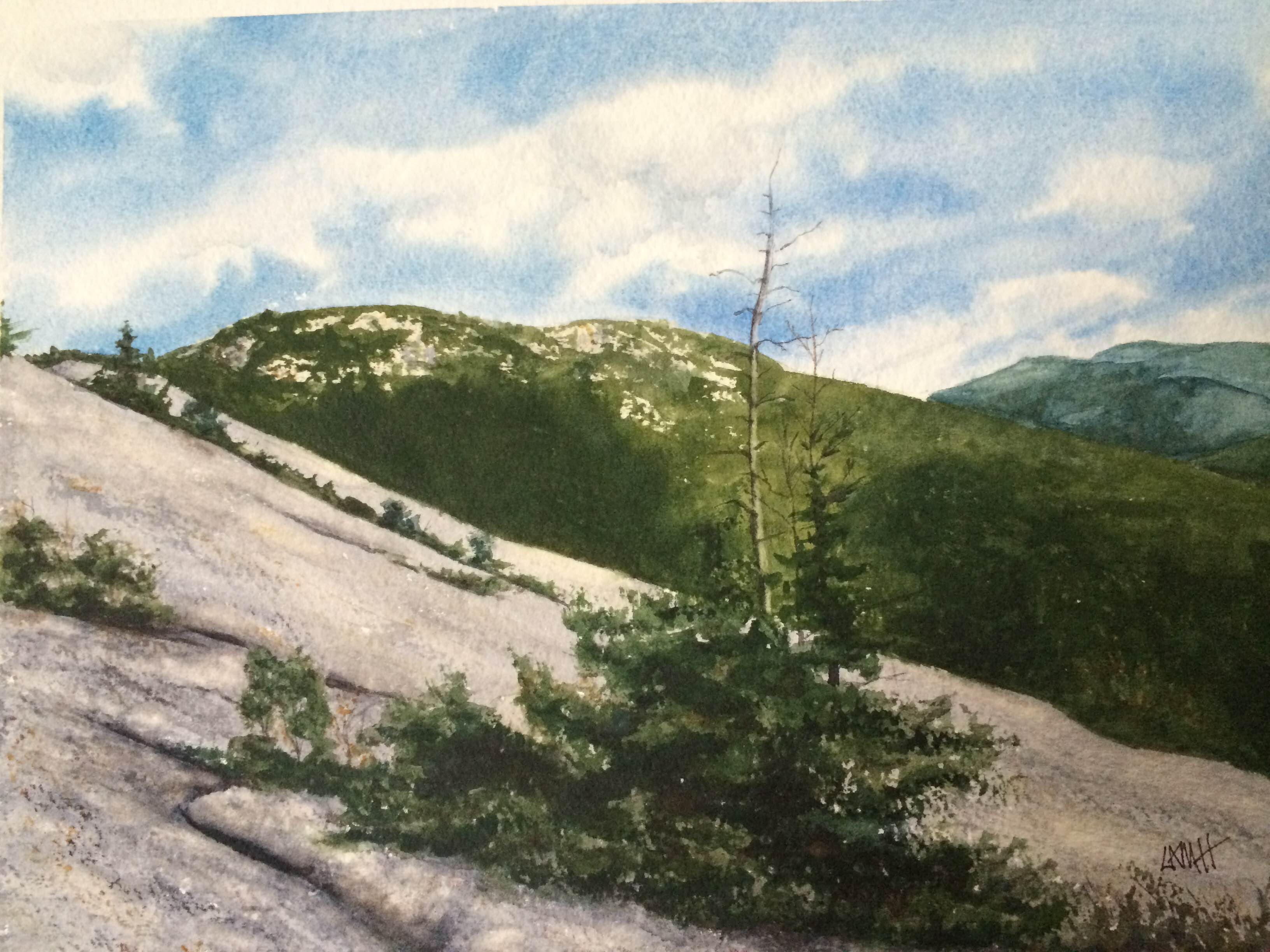 mt.top 8:11 # 69.jpg