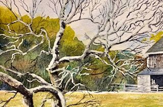 Spring pasture tree line.jpg