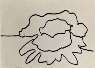 Contour sketch Primroses.jpg