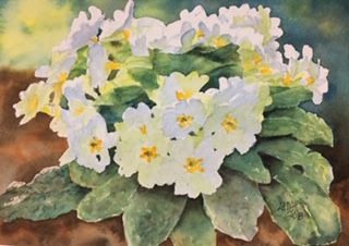 Primroses small.jpg