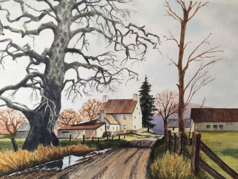 Sycamore perspective.jpg