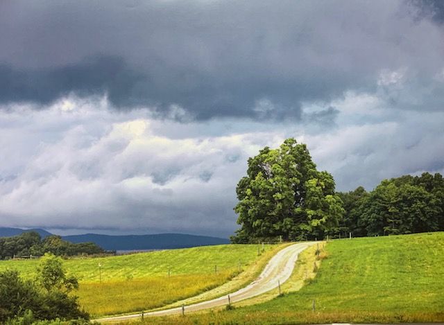 Template-Summer Field