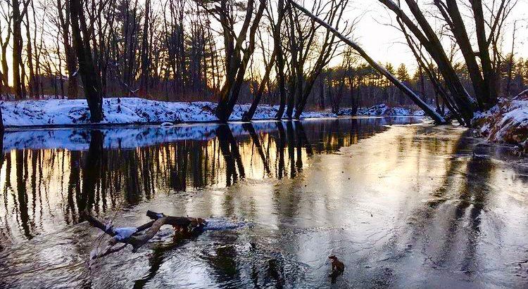 reflection-townsend-ma.