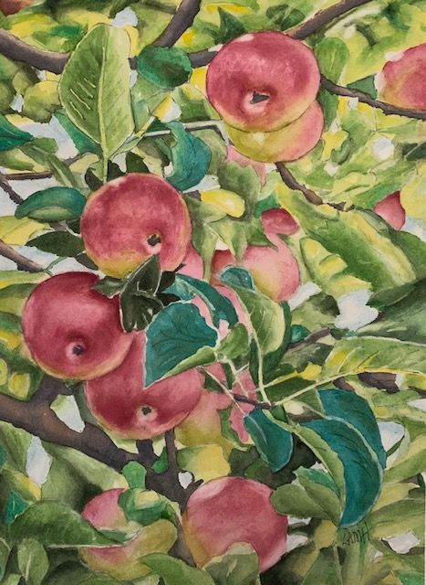 apples-watercolor